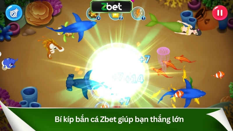 Bắn Cá Zbet: Sảnh Game Đổi Thưởng Thắng Lớn Mỗi Ngày 3 Chia sẻ bí kíp bắn cá giúp bạn thắng lớn
