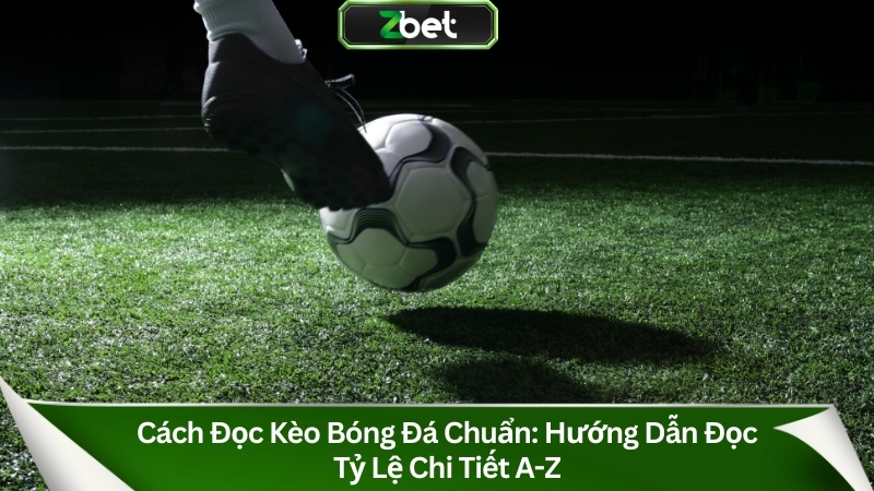 Cách Đọc Kèo Bóng Đá Chuẩn: Hướng Dẫn Đọc Tỷ Lệ Chi Tiết