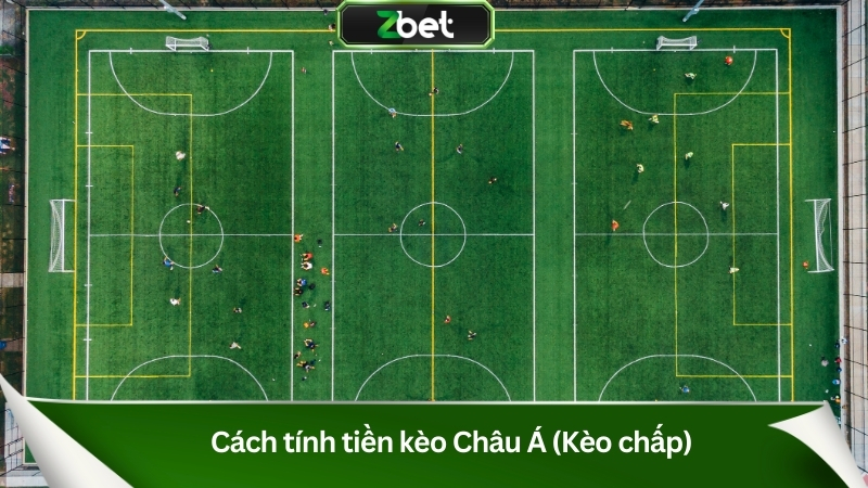 Cách Tính Tiền Kèo Bóng Đá Zbet Từ A-Z Cho Người Mới 2 Cách tính tiền kèo bóng đá Châu Á (Kèo chấp)