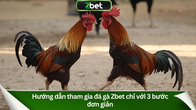 Đá Gà Zbet – Sân Chơi Kịch Tính, Cá Cược Đỉnh Cao 2025 3 Hướng dẫn tham gia đá gà Zbet chỉ với 3 bước đơn giản