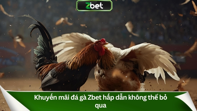 Đá Gà Zbet – Sân Chơi Kịch Tính, Cá Cược Đỉnh Cao 2025 4 Khuyến mãi đá gà Zbet hấp dẫn không thể bỏ qua