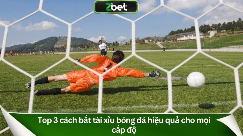 Hướng Dẫn Cách Bắt Tài Xỉu Bóng Đá Hiệu Quả 2025 3 Top 3 cách bắt tài xỉu bóng đá hiệu quả cho mọi cấp độ