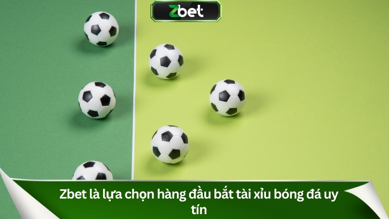 Hướng Dẫn Cách Bắt Tài Xỉu Bóng Đá Hiệu Quả 2025 5 Zbet là lựa chọn hàng đầu bắt tài xỉu bóng đá uy tín