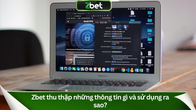 Chính Sách Bảo Mật Zbet: Cam Kết An Toàn Quyền Riêng Tư 2 Zbet thu thập những thông tin gì và sử dụng ra sao?